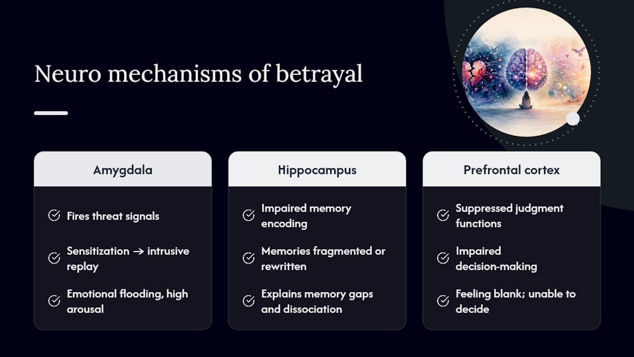 Acute Betrayal Shock: Recognizing the Signs and How to Navigate Your Emotions 1 Why betrayal shock is uniquely disorienting: theory and nervous-system mechanics — overview diagram